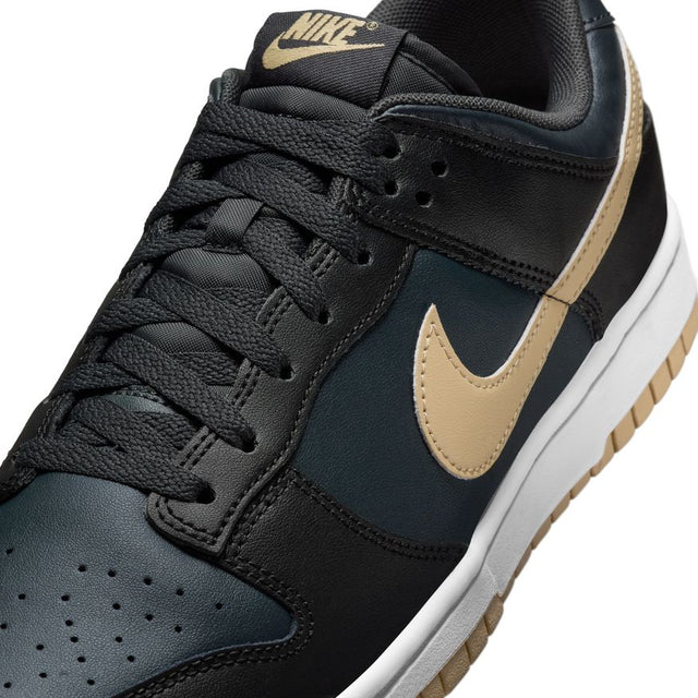 Buy NIKE Nike Dunk Low Retro DV0831-005 Canada Online