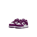 Buy NIKE Nike Dunk Low FB9107-110 Canada Online