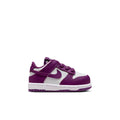 Buy NIKE Nike Dunk Low FB9107-110 Canada Online