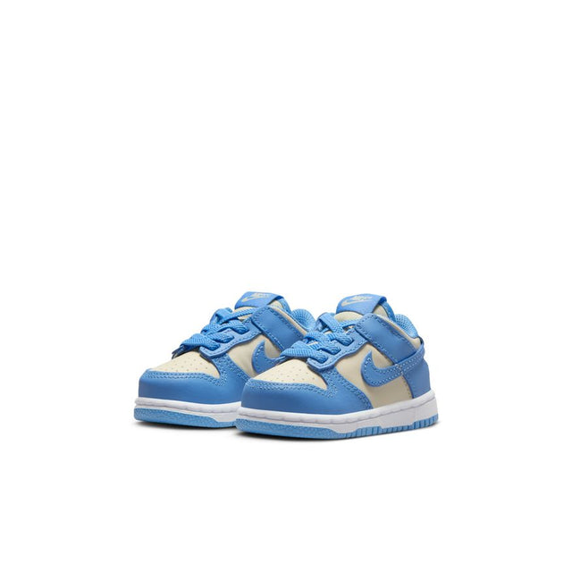 Buy NIKE Nike Dunk Low FB9107-400 Canada Online