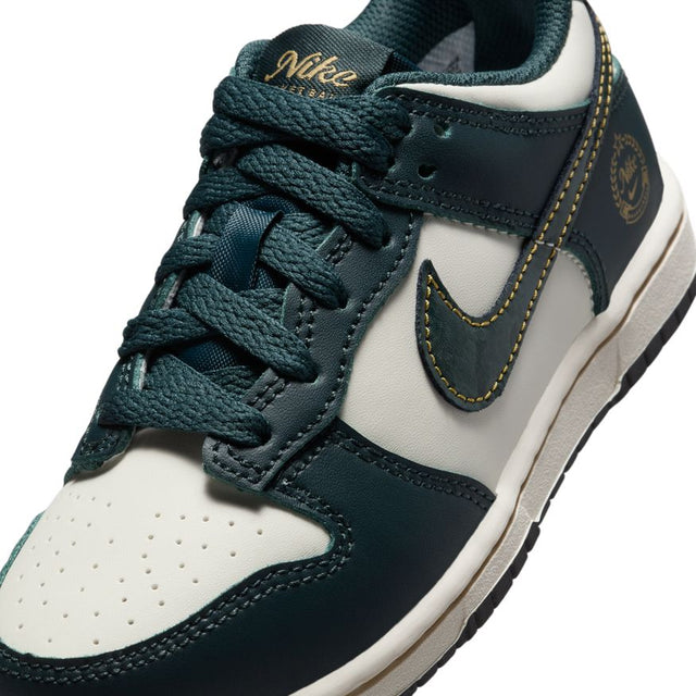 Buy NIKE Nike Dunk Low FB9108-301 Canada Online