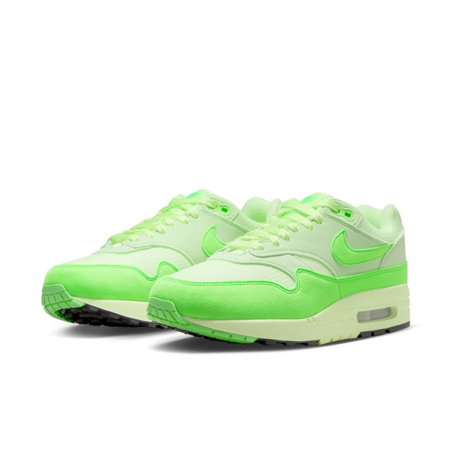 Buy NIKE Nike Air Max 1 '87 HJ7329-376 Canada Online